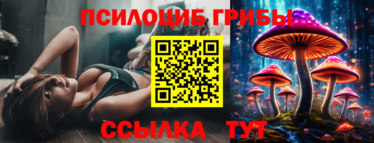 Магадан  Галлюциногенные грибы GOLDEN TEACHER  Вход с VPN 